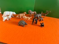 Schleich Konvolut Tiere Baden-Württemberg - Neckartenzlingen Vorschau