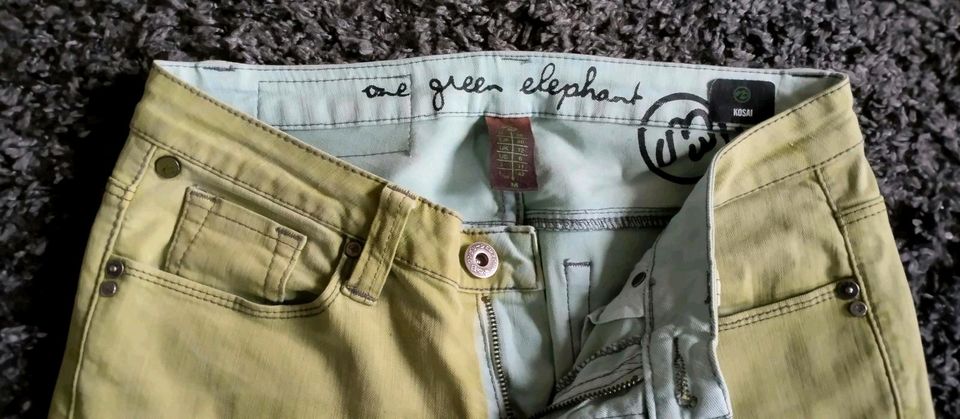 Green elephant Jeans damen in Lutherstadt Wittenberg