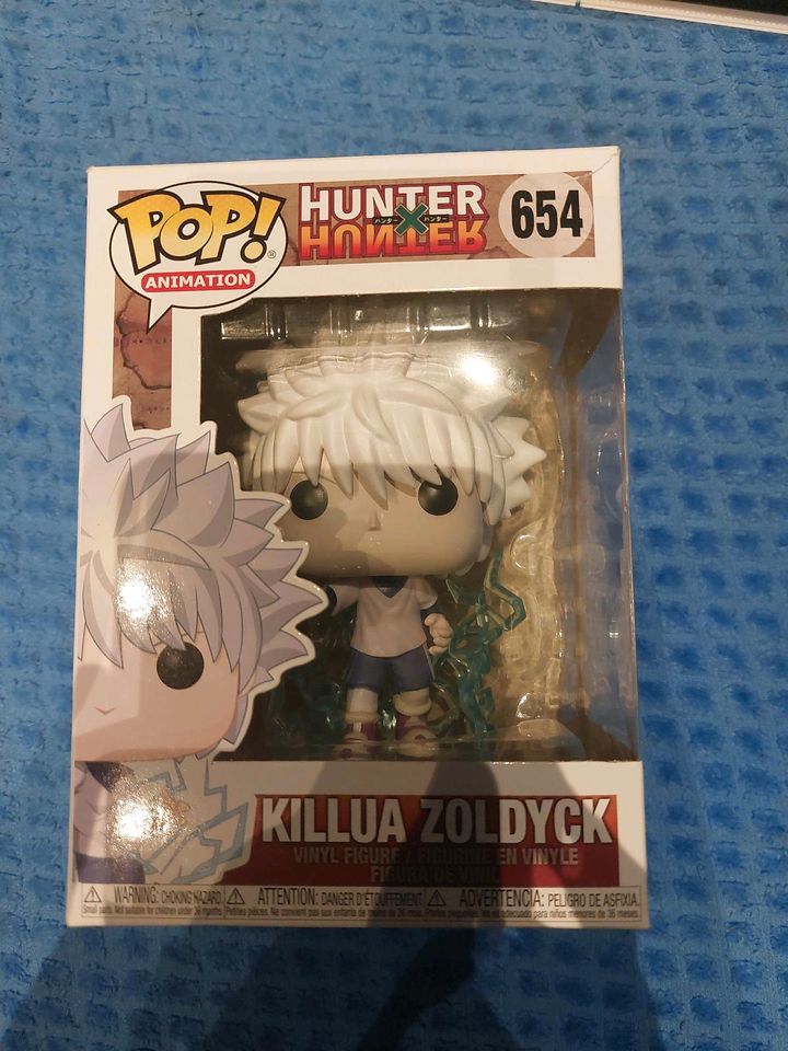 Hunter × Hunter Figur in Husum