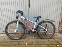 Mountainbike Kinder Haibike Gr. 24 Altona - Hamburg Bahrenfeld Vorschau