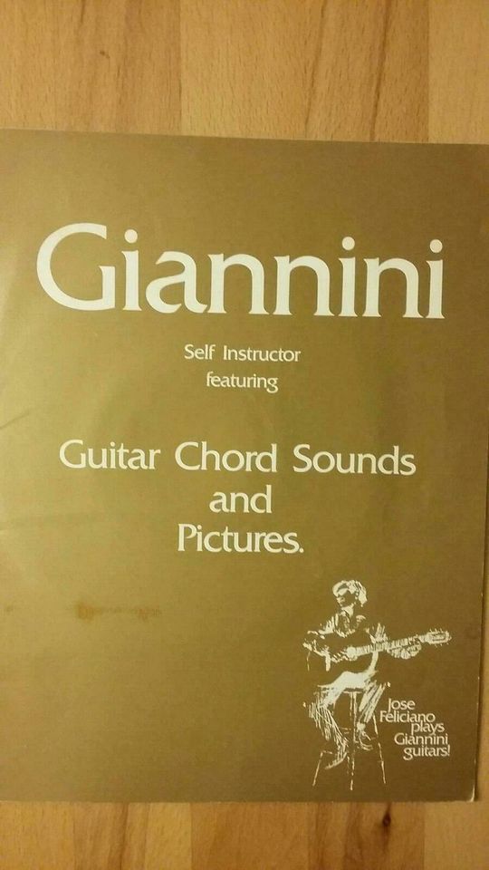 Gitarrennoten Guiannini Self Instructor featuring mit Single in Sinsheim