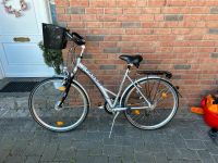 Damenrad Fahrrad Damen Passat 28 Zoll SHIMANO DEORE Nordrhein-Westfalen - Brakel Vorschau
