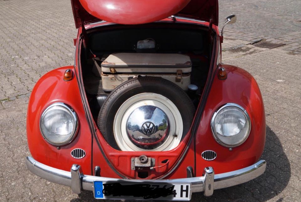 VW Käfer Dickholmer 1964 mit H-Zulassungen in Erftstadt