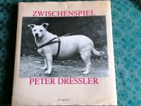 Peter Dressler Zwischenspiel Fotoband coffee table book Niedersachsen - Braunschweig Vorschau