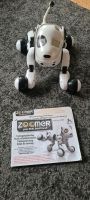Zoomer - interaktiver Hund - Dalmatiner Horn-Lehe - Lehesterdeich Vorschau