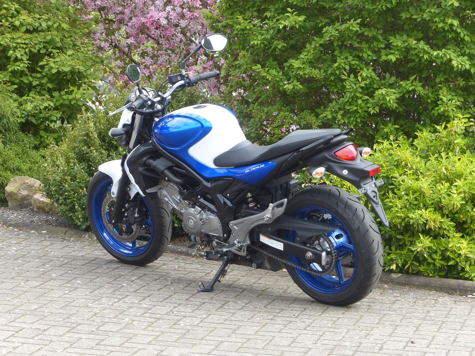 Suzuki Gladius 650 SFV 650 in Melsungen