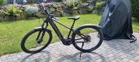 E-Bike Conway Cairon S5.0 Hessen - Mittenaar Vorschau