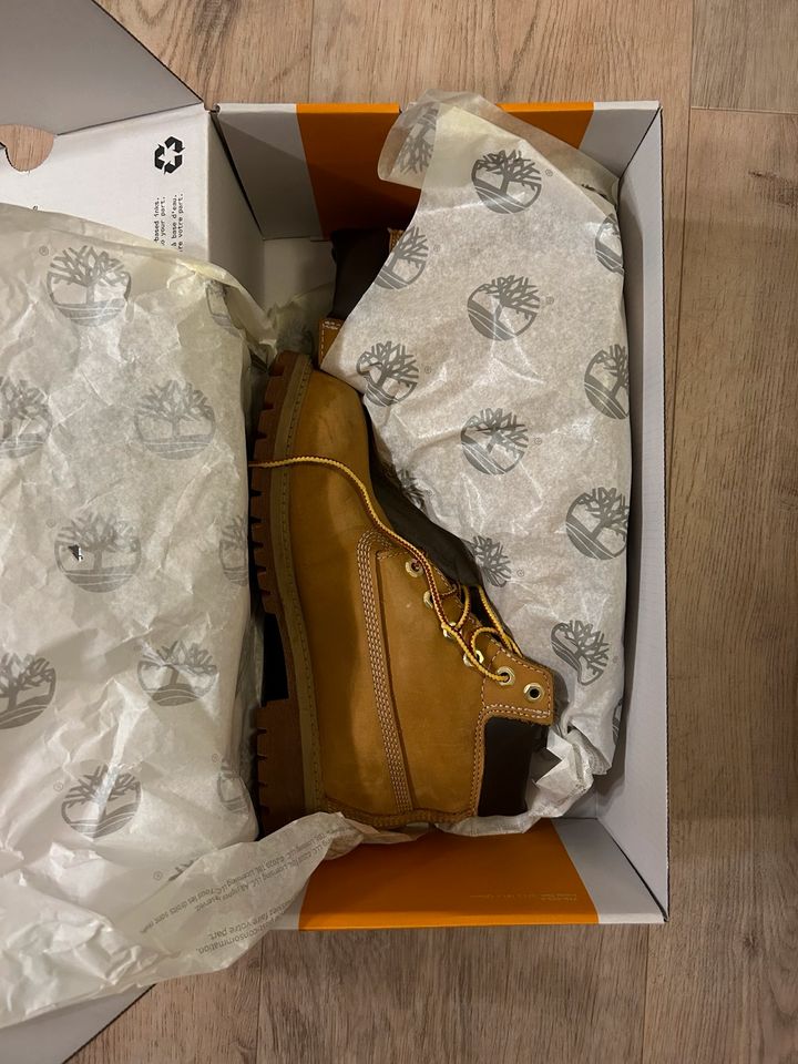 Timberland Premium 6 IN Waterproof Boot Nubuck, US3/35, getragen in Düsseldorf