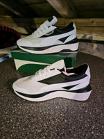 Tolle Puma Sneaker, Gr 8! 42 *Neu * Bayern - Abensberg Vorschau