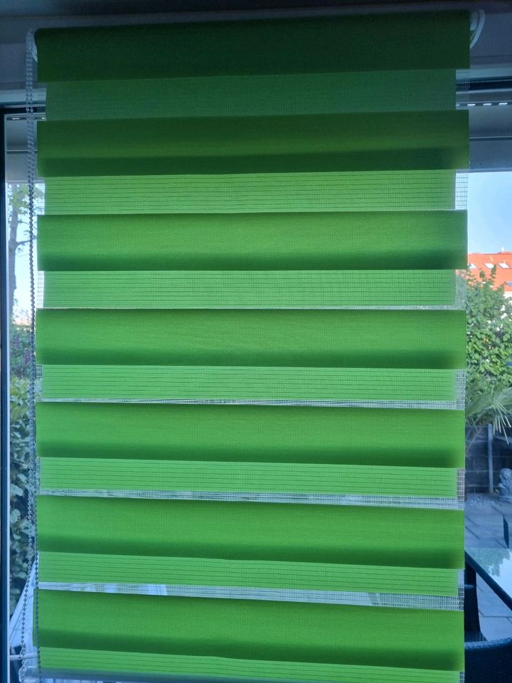 2x Doppelrollo Rollo Plissee Fenster in Frankfurt am Main