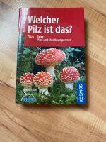 Welcher Pilz ist das? Stuttgart - Weilimdorf Vorschau