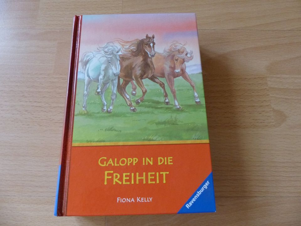 Buch: Galopp in die Freiheit, Fiona Kelly in Lautertal