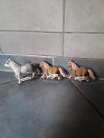 Schleich Pony /Fohlen Sachsen-Anhalt - Magdeburg Vorschau