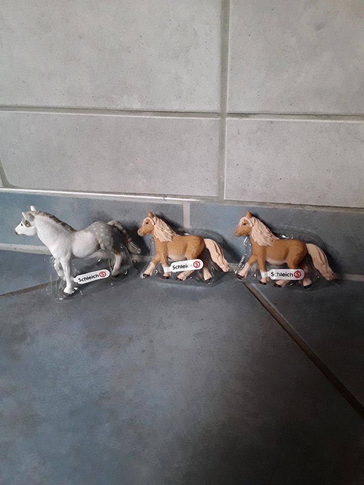 Schleich Pony /Fohlen in Magdeburg