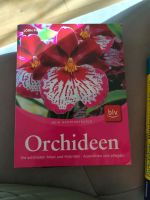 Orchideen die schönsten Arten und hybriden mein gartenberater Bad Doberan - Landkreis - Rövershagen Vorschau