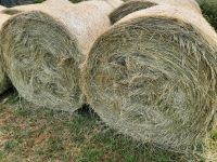 Heu, Silage, Stroh Bad Frankenhausen/Kyffhäuser - Ringleben (bei Artern) Vorschau