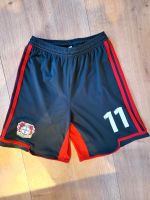 Bayer 04 Leverkusen Shorts Hose Adidas Gr. 152 Nordrhein-Westfalen - Olpe Vorschau