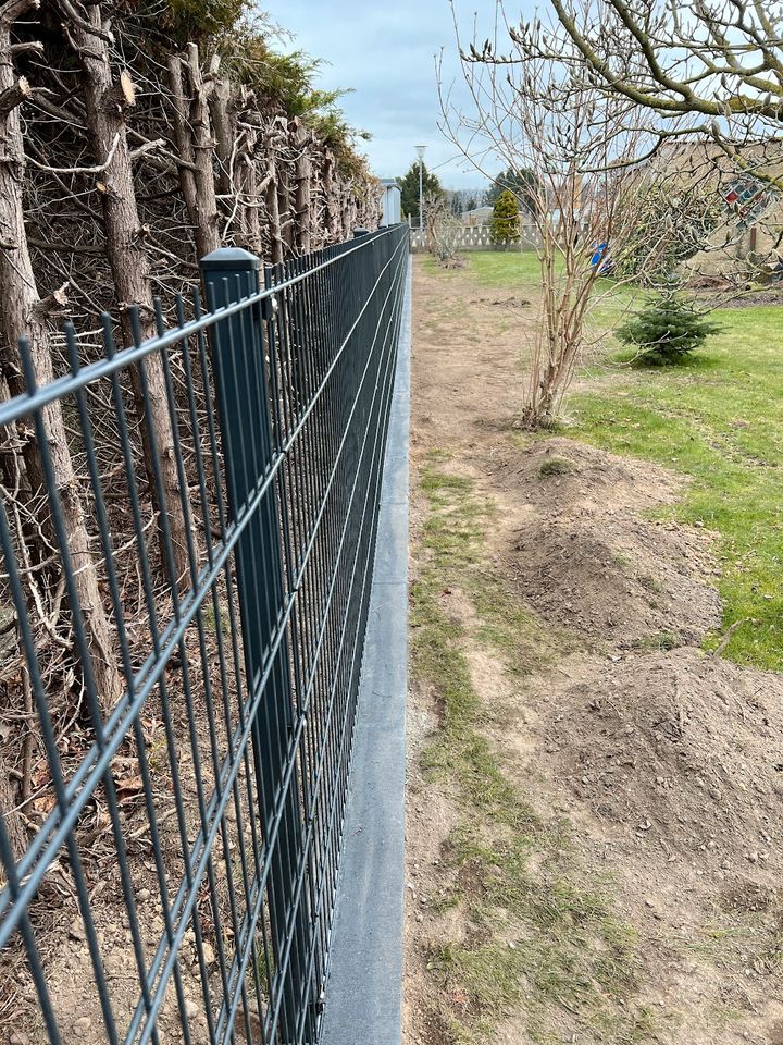 Wildschweinschutz-Zaun Garten Stabgitterzaun in Leipzig