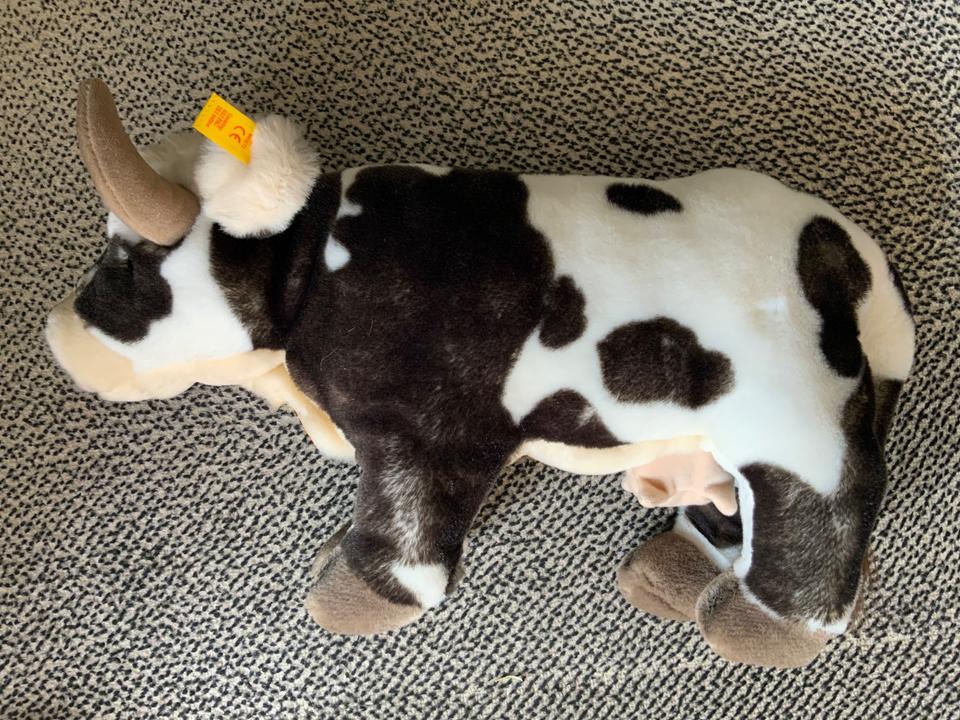 Steiff Kuh Lotte Rarität Sammlerstück unbespielt wie neu in Bonn