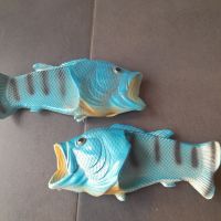 ausgefallene Strand-Schuhe - Unikat - Fische für die Füße Rheinland-Pfalz - Konz Vorschau