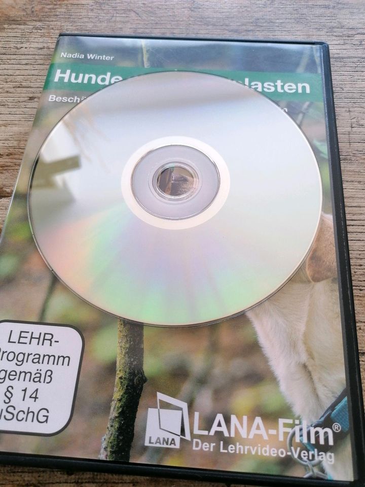 DVD hund hunde mental auslasten Nadia winter in Rohrsen