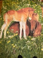 Bettwäsche Pferde mit passenden Laken 135 x 200 cm und 80 x 80cm Bayern - Bayreuth Vorschau
