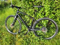 Fitness Bike von Specialized "Vita Elite" Sachsen-Anhalt - Magdeburg Vorschau