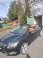 Focus Cabrio Benziner 2 Liter Nordrhein-Westfalen - Kierspe Vorschau