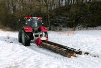 Rückezange, Zange, Holzzange, Verladezange, Holzgreifer, Greifer Baden-Württemberg - Buchen (Odenwald) Vorschau