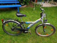 Pegasus Fahrrad 26 Zoll Niedersachsen - Oldenburg Vorschau