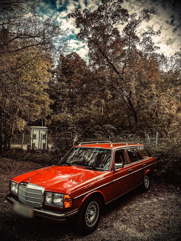 Mercedes Benz S123 280 TE in Stuttgart