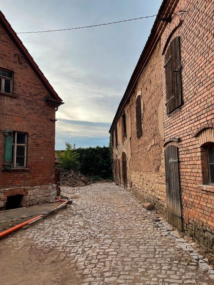 Osterüberraschung! Altes Haus such neues Leben!!! in Aschersleben