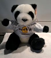 Hard Rock Cafe- Panda Bär- HURGHADA- 2018- TOP Baden-Württemberg - Sandhausen Vorschau