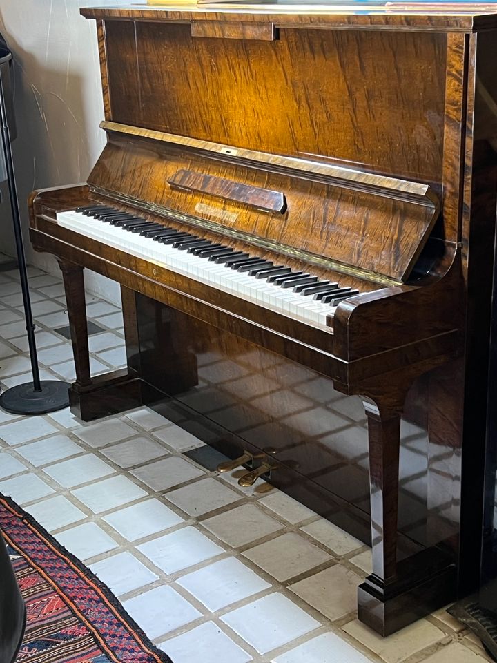 C. Bechstein Klavier Model 8 - 128, Baujahr 1950 Wurzel braun in Ahrensburg