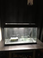 Aquarium 130Liter Feldmoching-Hasenbergl - Feldmoching Vorschau