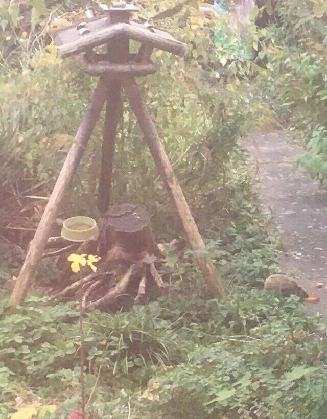 Igel-Hilfe in Reutlingen