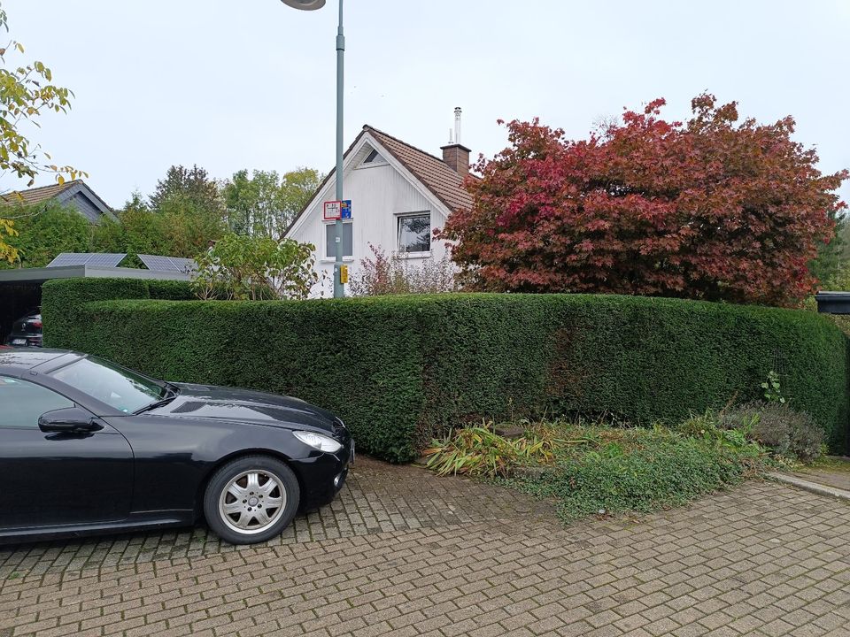 - Gartenpflege - Hecke schneiden, Rasen mähen, Baumfällung in Wipperfürth