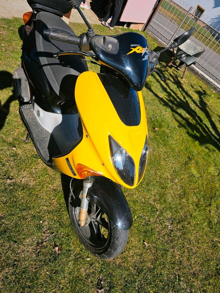 Honda Roller X8R-S 50km/h zu verkaufen in Schrobenhausen