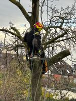 Baum fällen Baumfällung Pflege Sturmschaden Risiko Düsseldorf - Bilk Vorschau