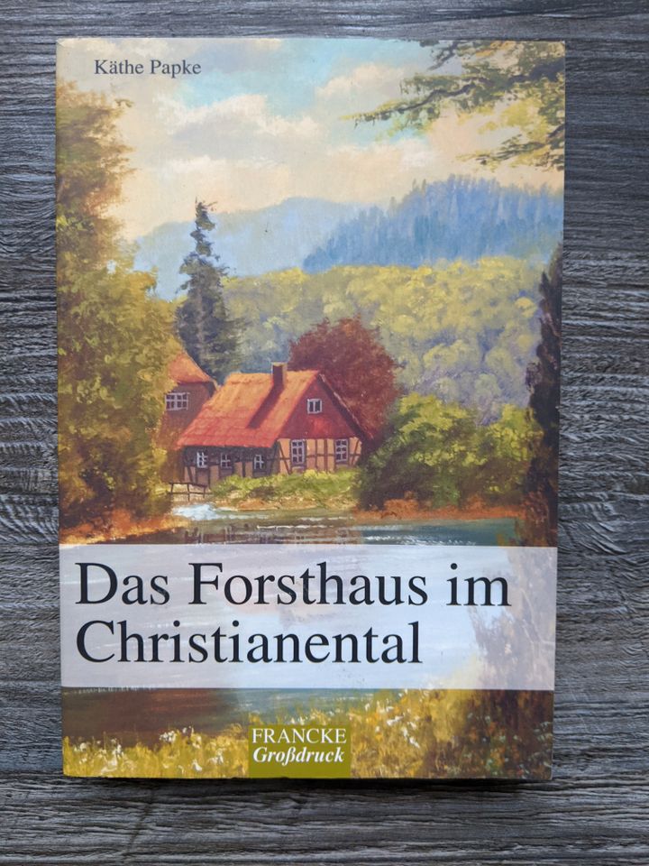 Käthe Papke DAS FORSTHAUS IM CHRISTIANENTAL TB Hist. Wernigerode- in Ettlingen