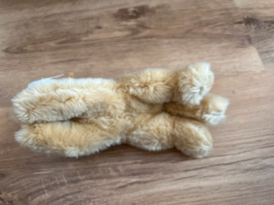 Original Steiff Löwe 20 cm top Zustand in Bonn