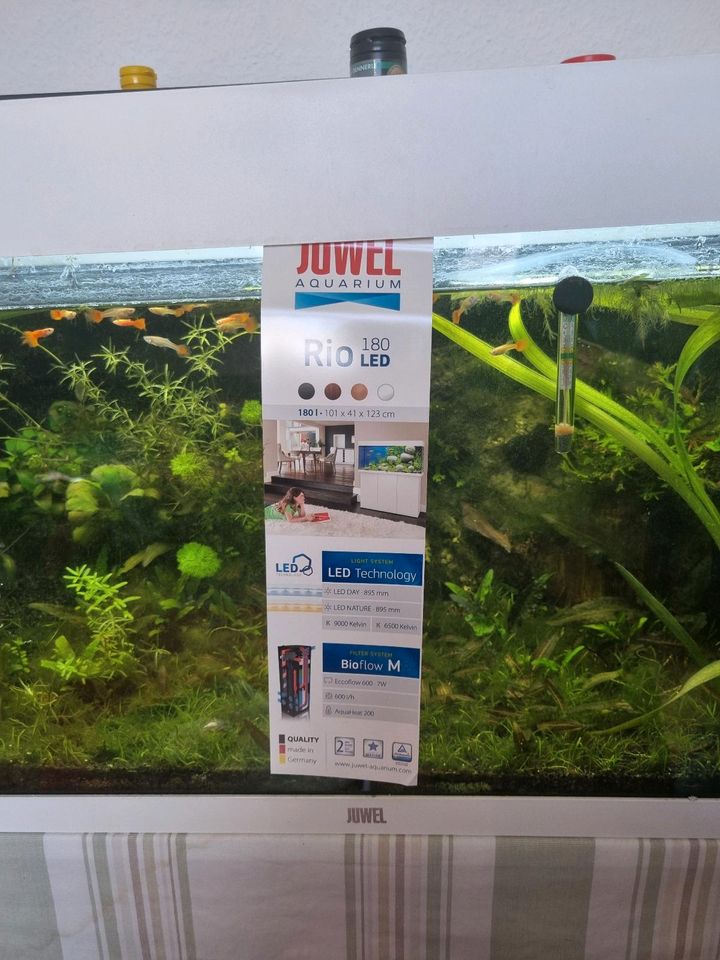 Juwel aquarium 180 LED in Esslingen