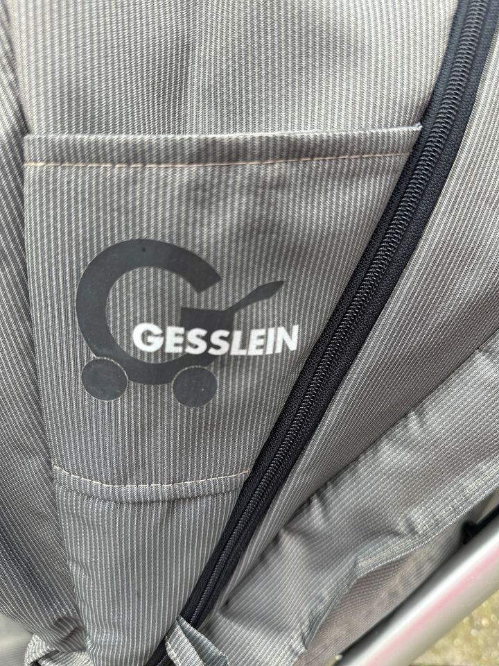 Gesslein Kombi Kinderwagen in Essen