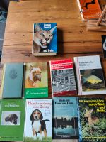 Jagdbücher, Hundebücher, Bücher Nordrhein-Westfalen - Delbrück Vorschau