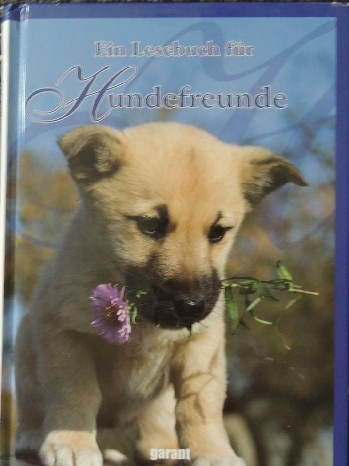 Ein Lesebuch für Hundefreunde in Magdeburg