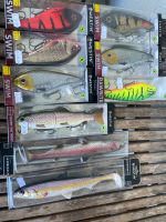 Westin Swims, Rawbite und Tommy the Trout Swimbait plus Gummis Berlin - Reinickendorf Vorschau