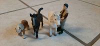 Schleich Tierarzt mit Ponys Rheinland-Pfalz - Undenheim Vorschau