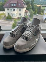 Nike Air Jordan 4 Frozen Moments 44 Niedersachsen - Einbeck Vorschau