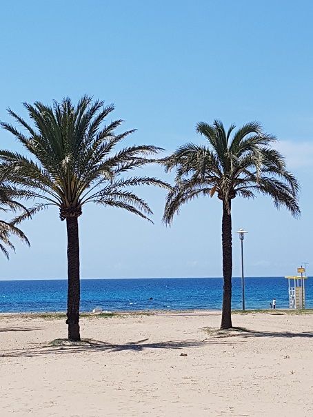 Strandnahe Ferienwohnung mit 3 Schlafzimmern, Paguera Mallorca in Berlin