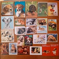 Postkarten Klappkarte Hunde Grußkarte Dalmatiner Golden Retriever Brandenburg - Rangsdorf Vorschau
